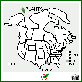 Distribution of Crotalaria brevidens Benth. var. intermedia (Kotschy) Polhill. . Image Available. 