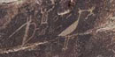 petroglyphs