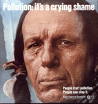 Pollution: it's a crying shame (poster)