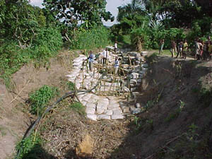 Men of the Democratic Republic of the Congo attempt to slow down the erosion of the land