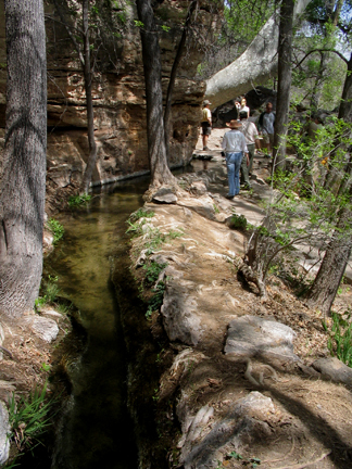 Montezuma Well Outlet Trail