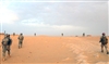 U.S. Army soldiers and Iraqi soldiers patrol for weapons caches and enemy extremists near Bayji, Iraq, Aug. 21, 2008.  