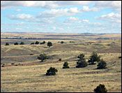 Photo of New Mexico Landscape