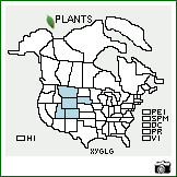 Distribution of Xylorhiza glabriuscula Nutt. var. glabriuscula. . Image Available. 