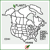 Distribution of Prosopis argentina Burkart. . 