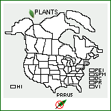 Distribution of Prosopis ruscifolia Griseb.. . 