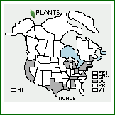 Distribution of Rumex ×acutus L. (pro sp.) [crispus × obtusifolius]. . 