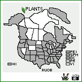 Distribution of Rumex obtusifolius L.. . Image Available. 