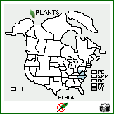 Distribution of Allium allegheniense Small. . Image Available. 