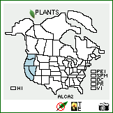 Distribution of Allium campanulatum S. Watson. . Image Available. 