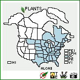 Distribution of Allium canadense L.. . Image Available. 