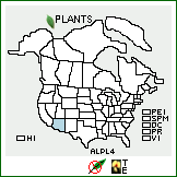 Distribution of Allium plummerae S. Watson. . 