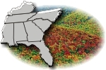 Region 4: Alabama, Florida, Georgia, Kentucky, Mississippi, North Carolina, South Carolina, Tennessee