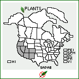 Distribution of Salsola paulsenii Litv.. . 