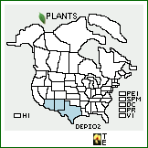 Distribution of Descurainia pinnata (Walter) Britton ssp. ochroleuca (Woot.) Detling. . 