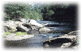 Image of a stream bed with rocks and trees on the banks