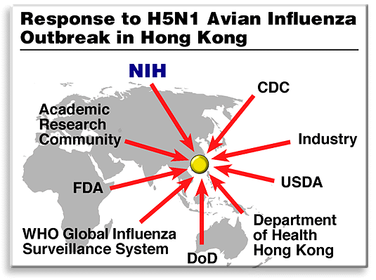 Response to H5N1 Avian Influenza Outbreak in Hong Kong