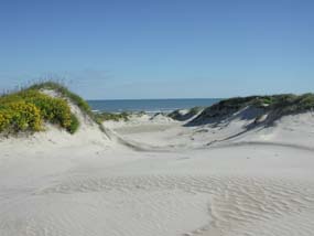 The Gulf of Mexico seen through dunes near the ten mile marker