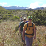 Backpackers enjoy the Wilderness Area in the green sub-alpine shrubland.