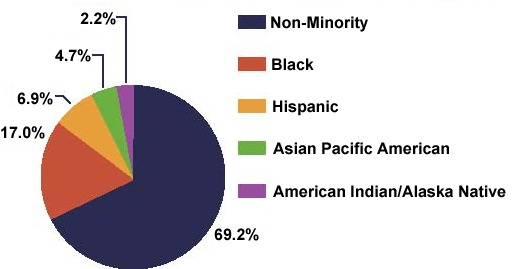 Federal Workforce by Race graph