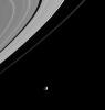 Spotlight on Mimas