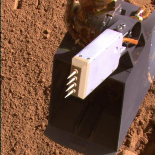 Phoenix Conductivity Probe after Extraction from Martian Soil on Sol 99