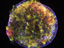 A Chandra X-ray image of Tycho's Supernova Remnant.
