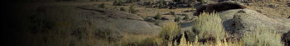 BLM Wyoming banner.