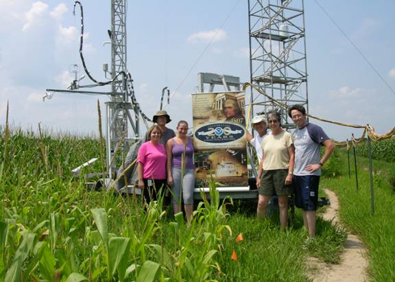 Lillington, NC cornfield