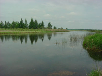 A view of Long Lake, a spring fed lake that was historically the channel of the Fox River. 
