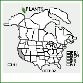 Distribution of Cistus incanus L. ssp. creticus (L.) Heywood. . 