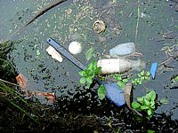 Floating debris at a marina. Plastic bottles, a drink can, and a blue plastic spatula.