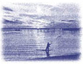 image of man fishing