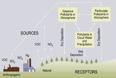 Flow chart showing dry and wet deposition processes. If you have difficulty viewing this graphic, or need additional information, contact Cindy Walke, Web Manager, at 202-343-9194.
