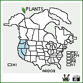 Distribution of Artemisia douglasiana Besser. . Image Available. 