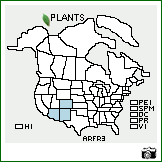 Distribution of Artemisia franserioides Greene. . Image Available. 