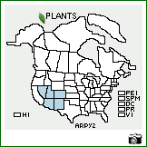 Distribution of Artemisia pygmaea A. Gray. . Image Available. 