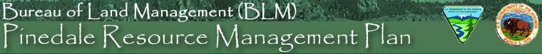 BLM - Pinedale Resource Management Plan