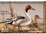 Duck stamp photo