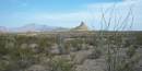 Chihuahuan Desert view