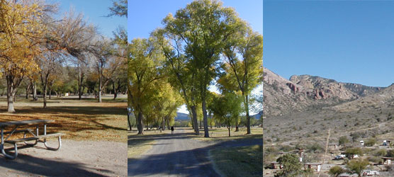 Collage of Big Bend campgrounds; Rio Grande Village, Cottonwood, and Chisos Basin