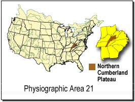 Northern Cumberland Plateau