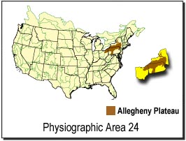 Allegheny Plateau