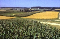 Photo of crop fields with variety of crops that are changed periodically