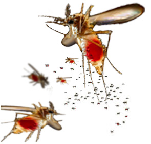 fictional mosquito swarm, click to see actual photo