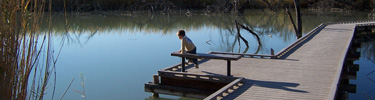 Young boy viewing fish in the beaver pond