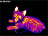 An infrared image of a dog