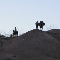 A hiker stands at the rim of Mariscal Canyon