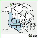 Distribution of Sporobolus airoides (Torr.) Torr.. . Image Available. 