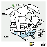 Distribution of Sporobolus junceus (P. Beauv.) Kunth. . Image Available. 